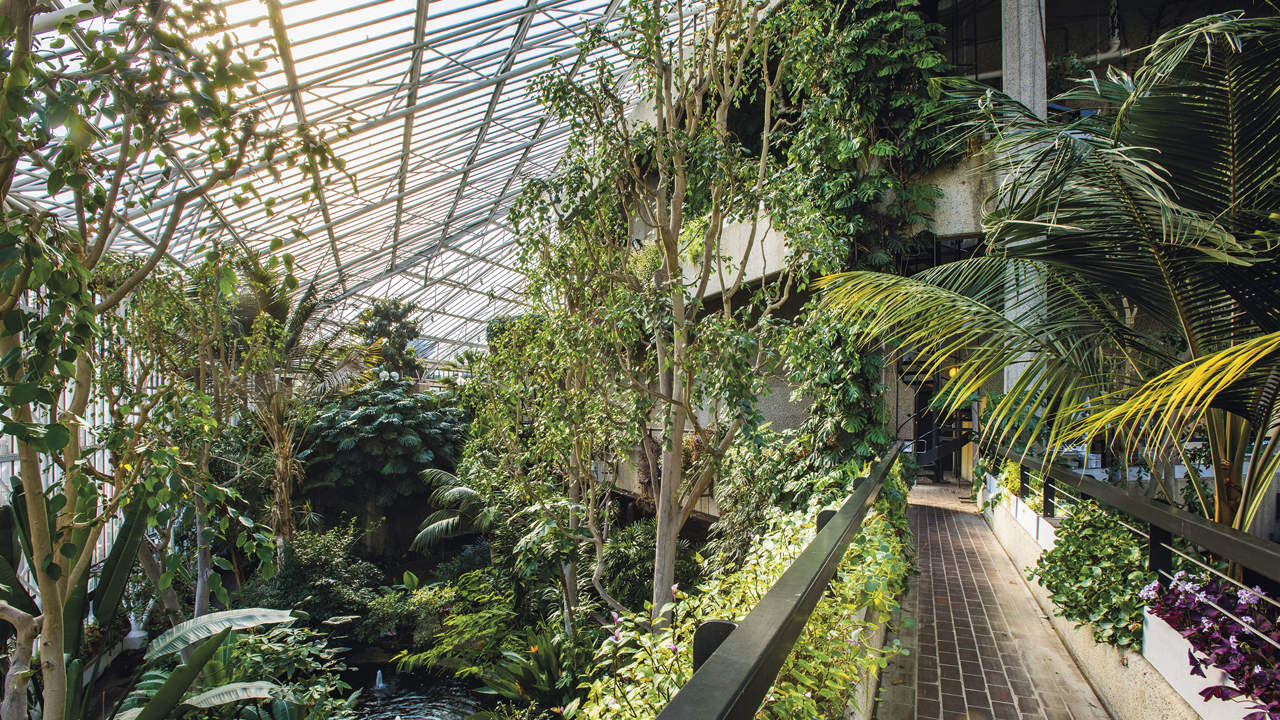 423 Barbican Conservatory Photo Max Colson