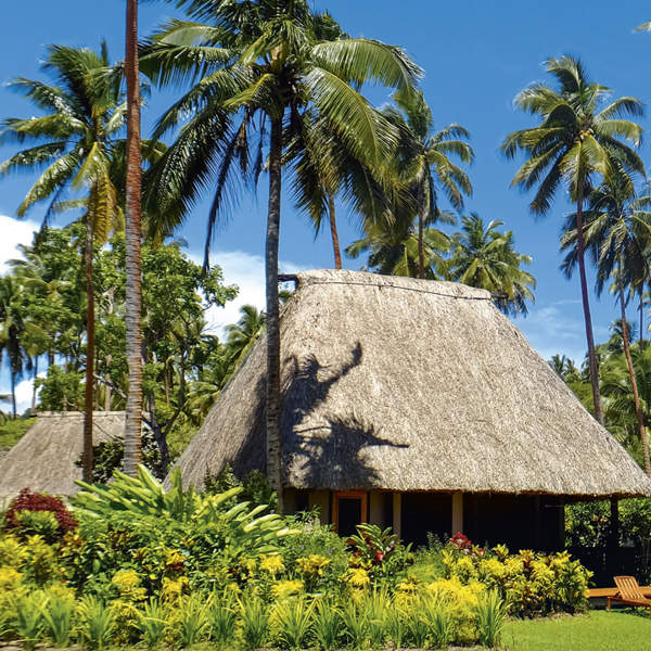 An age-old tradition: Thatched  Houses