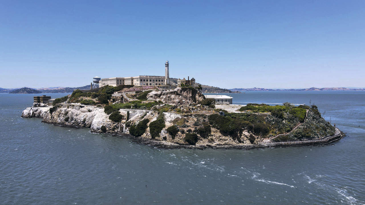 466 Alcatraz Cordon