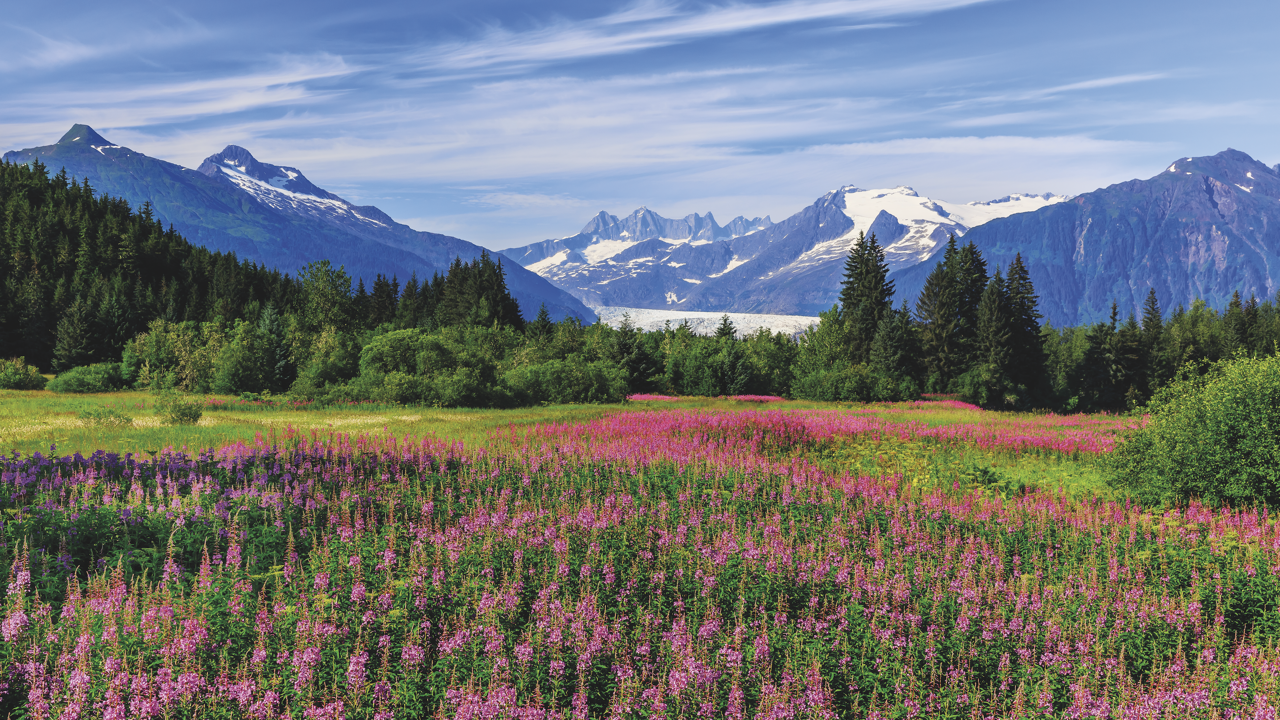 Majestic Juneau: Alaska, USA