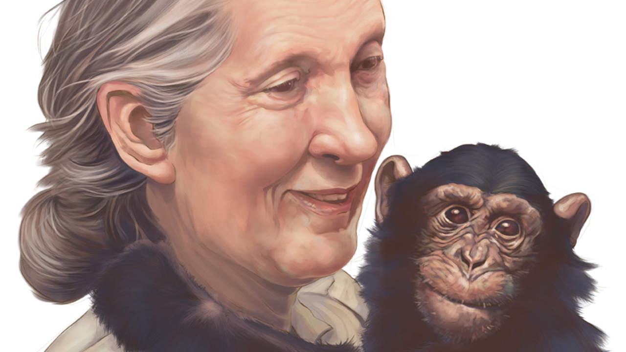 Jane Goodall: World’s Best-Known Naturalist