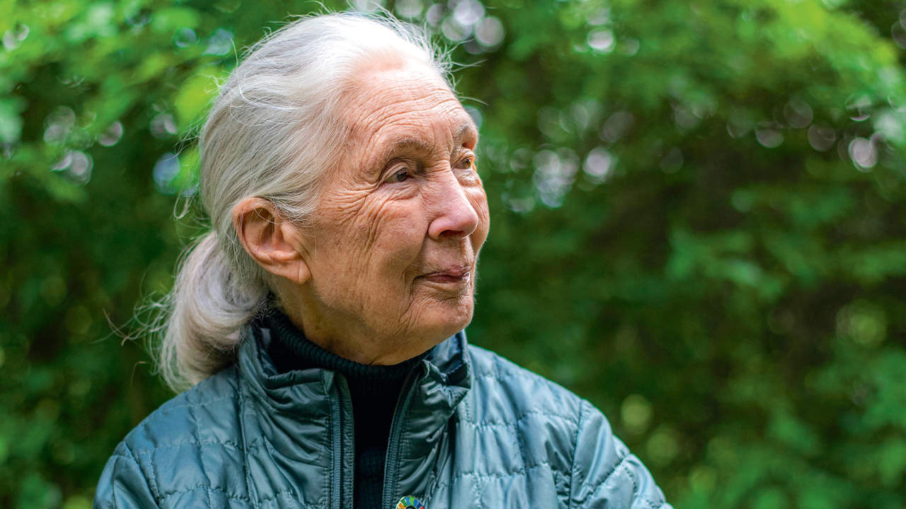 A Part of Nature: Jane Goodall