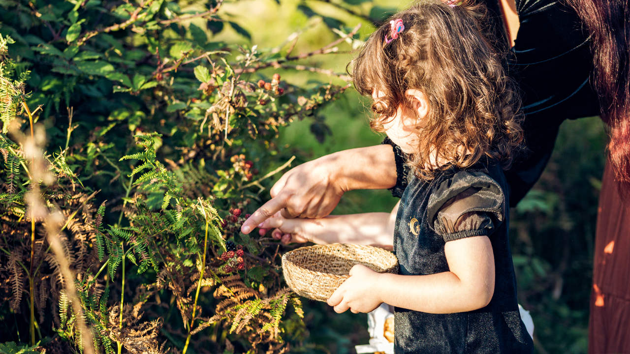 Foraging: Finding Food in the Wild