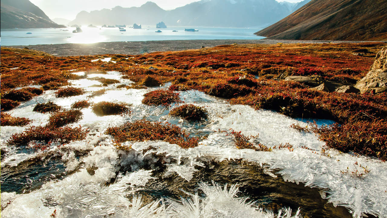 Thawing permafrost in Greenland where global warming is of increasing concern.