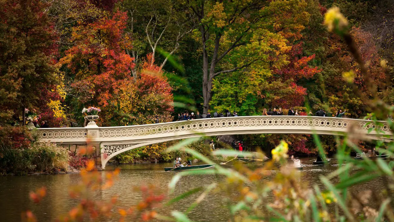 Olvídate de colas en parques de atracciones: estos 7 destinos de Estados Unidos son la postal perfecta del otoño