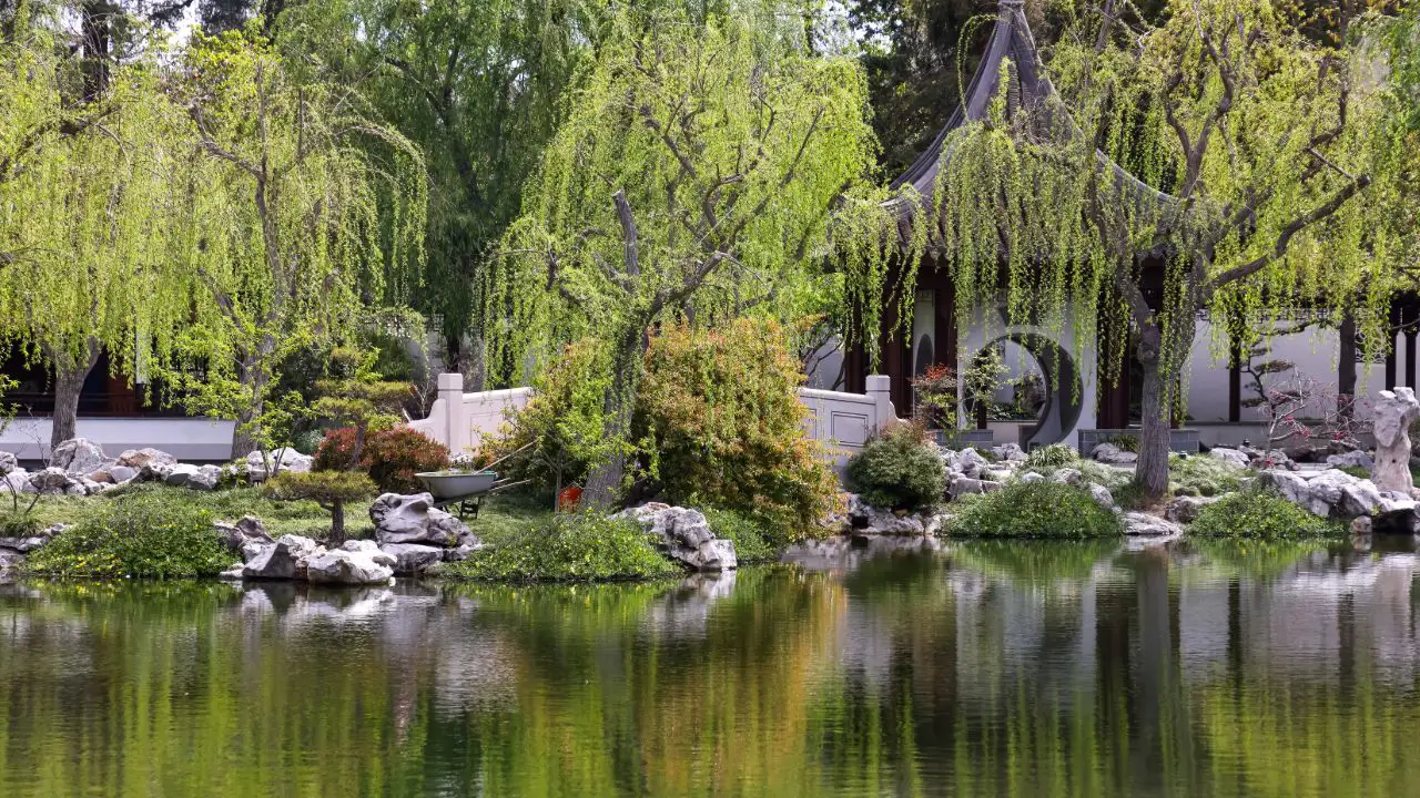 Botanical Wonders: The Huntington Gardens in Los Angeles