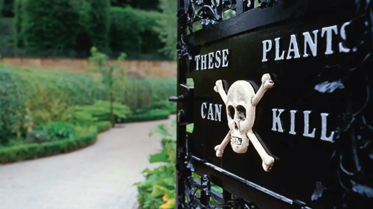 A Walk Through The Poison Garden