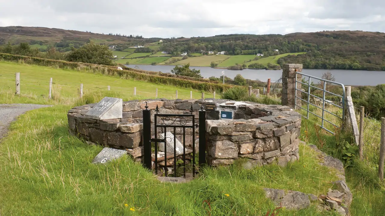 The Holly Wells of Ireland
