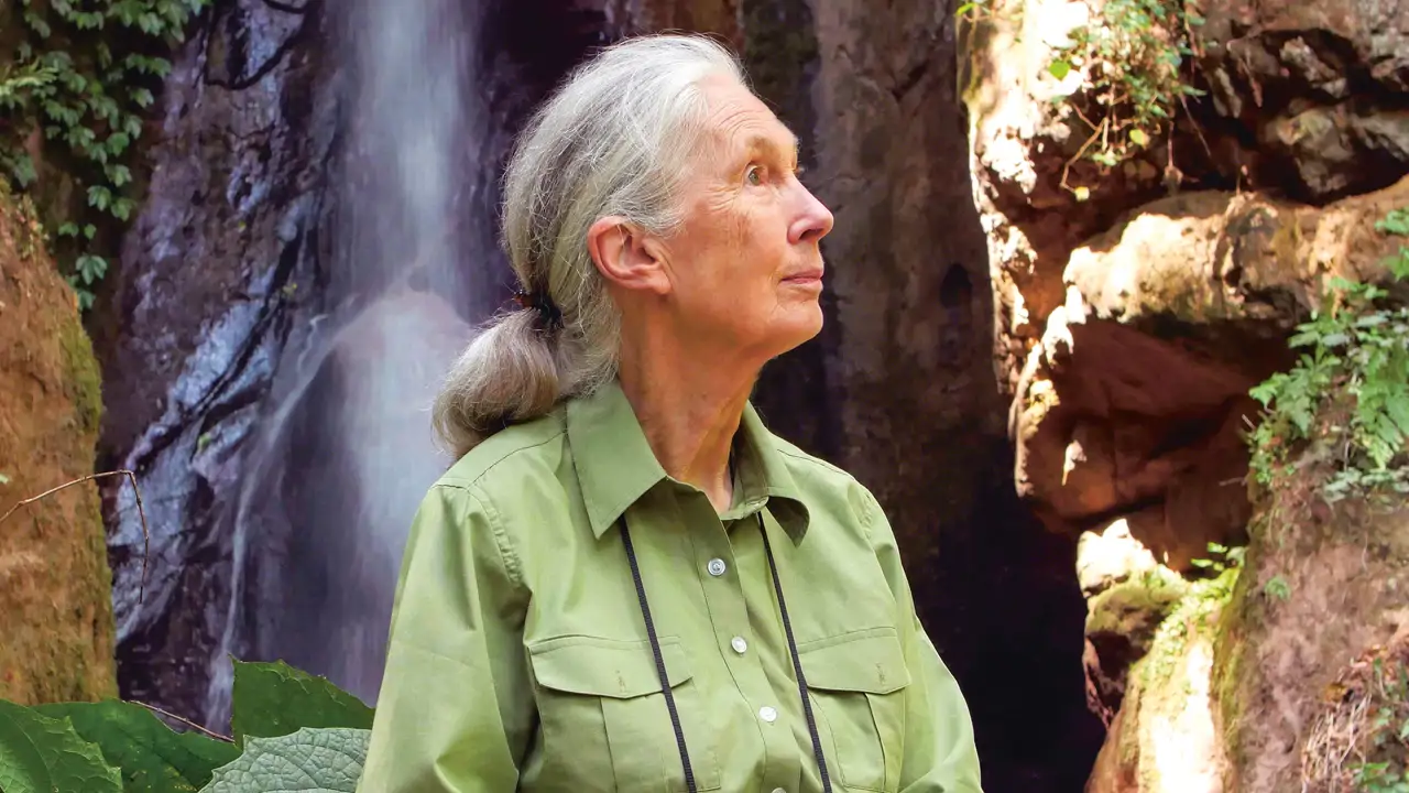 Jane Goodall: Lessons on Science and Humanity