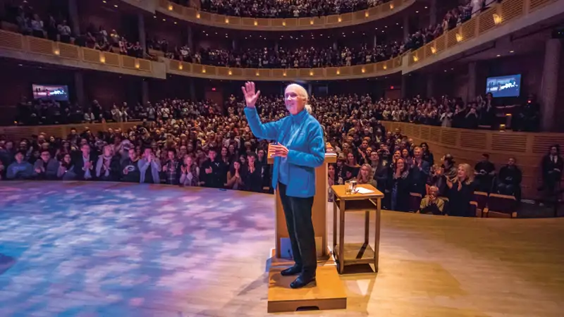 484 Jane Goodall cedida Catalin Mitrache