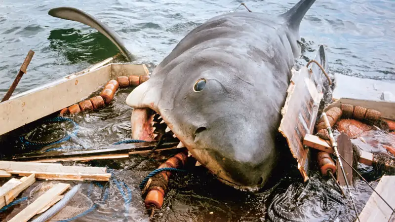 484 Jaws Cordon01