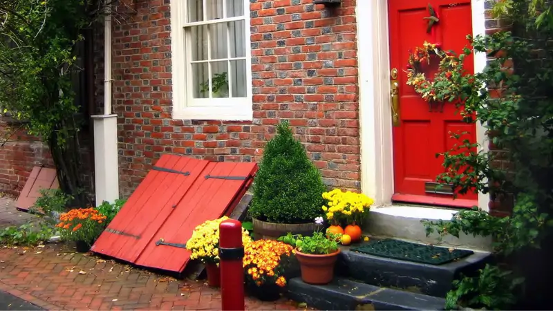 Cellar door